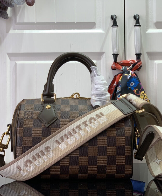 Louis Vuitton Speedy Bandouliere 20 N40489 Brown